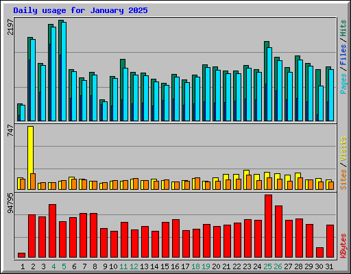 Daily usage for January 2025
