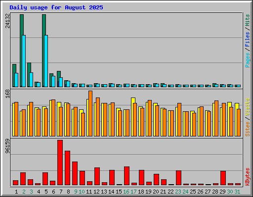 Daily usage for August 2025