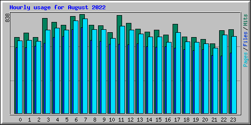 Hourly usage for August 2022