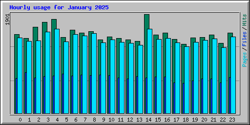 Hourly usage for January 2025