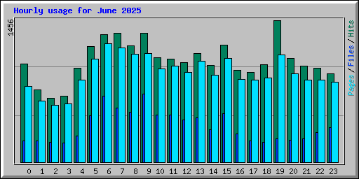 Hourly usage for June 2025