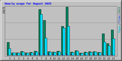 Hourly usage for August 2025