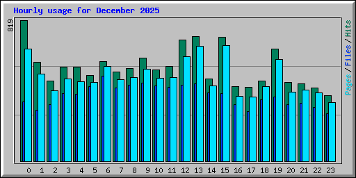 Hourly usage for December 2025