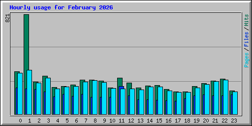 Hourly usage for February 2026